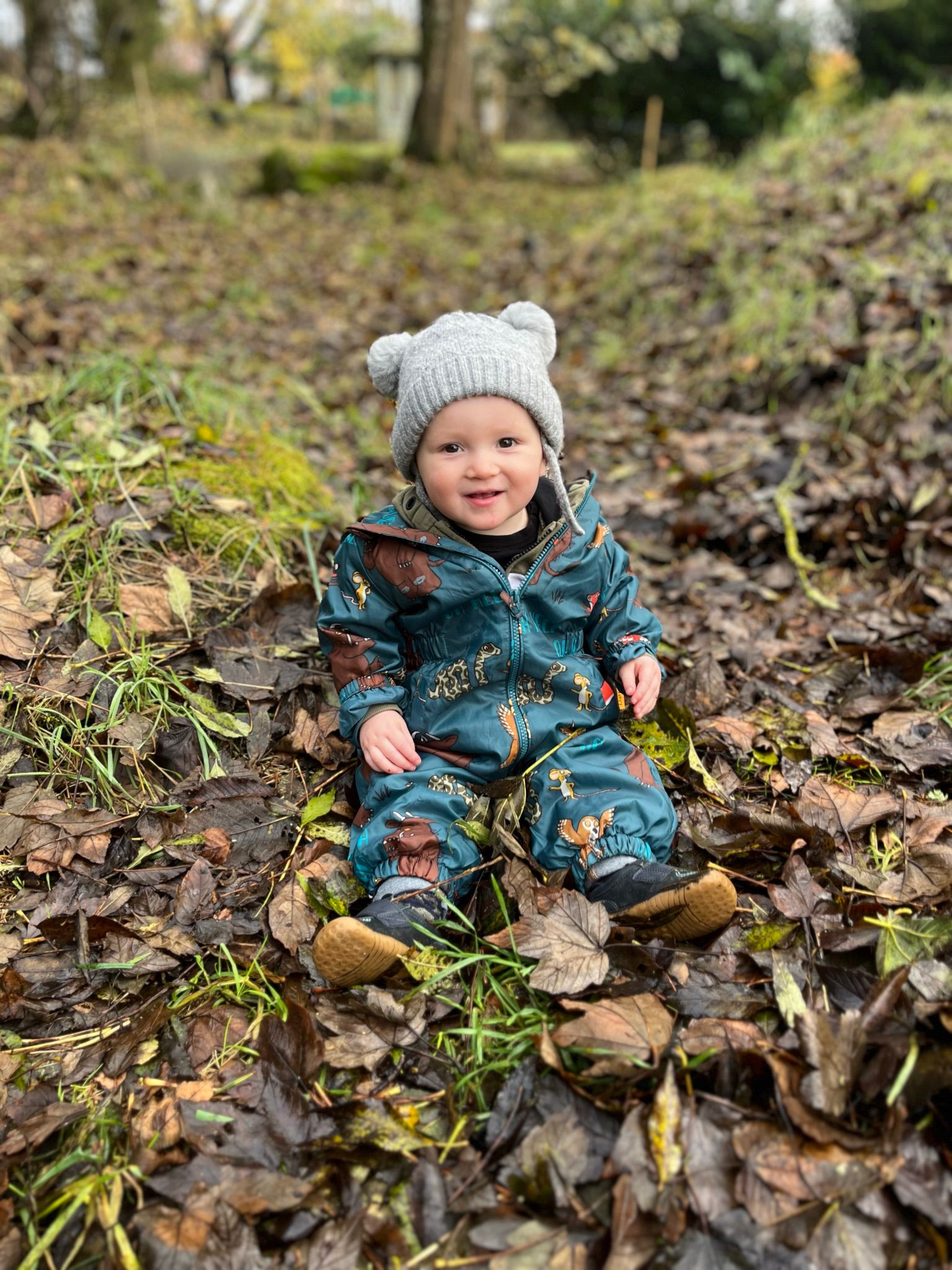 Picture of Jackson sitting in leaves