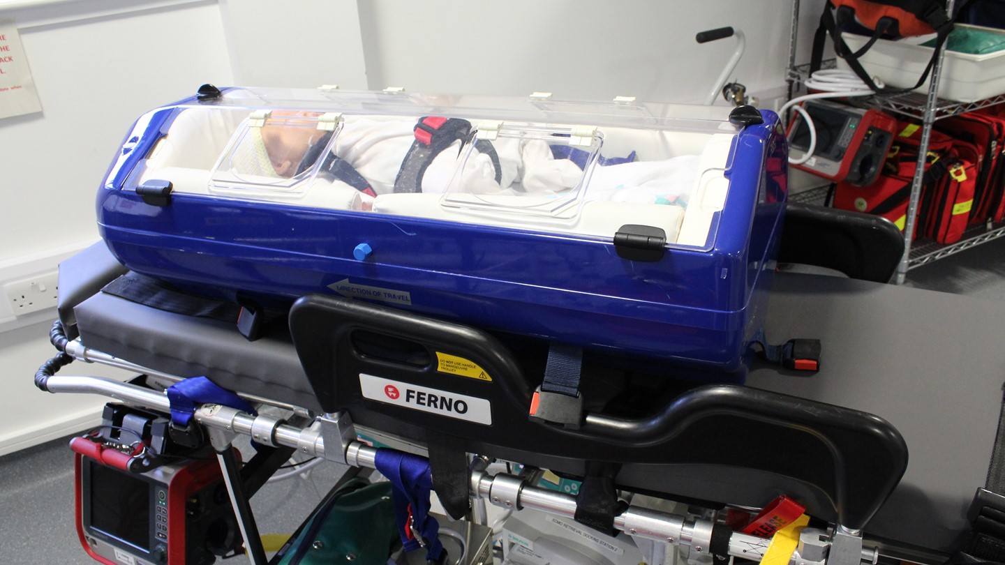 A baby in an incubator